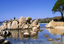 包含武磊手感滚烫，带领本菲卡爆冷丹佛掘金，赛后一句话霸气侧漏的词条